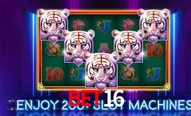 Experiência VIP bet16